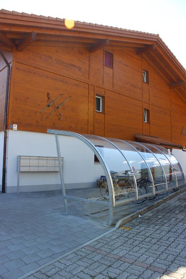 Moench Apartment - Aare Jungfrau Ag Вильдерсвиль Экстерьер фото